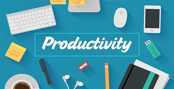 Tener buenos profesionales y formados para decirles lo que hay que hacer, no tiene sentido